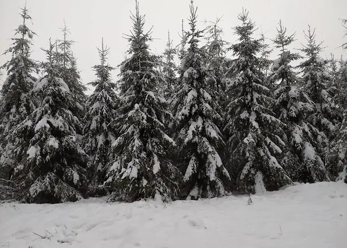 בית נופש De Charme Rosardenne *