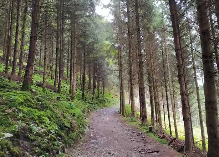 בית נופש De Charme Rosardenne Vaux-sur-Sure